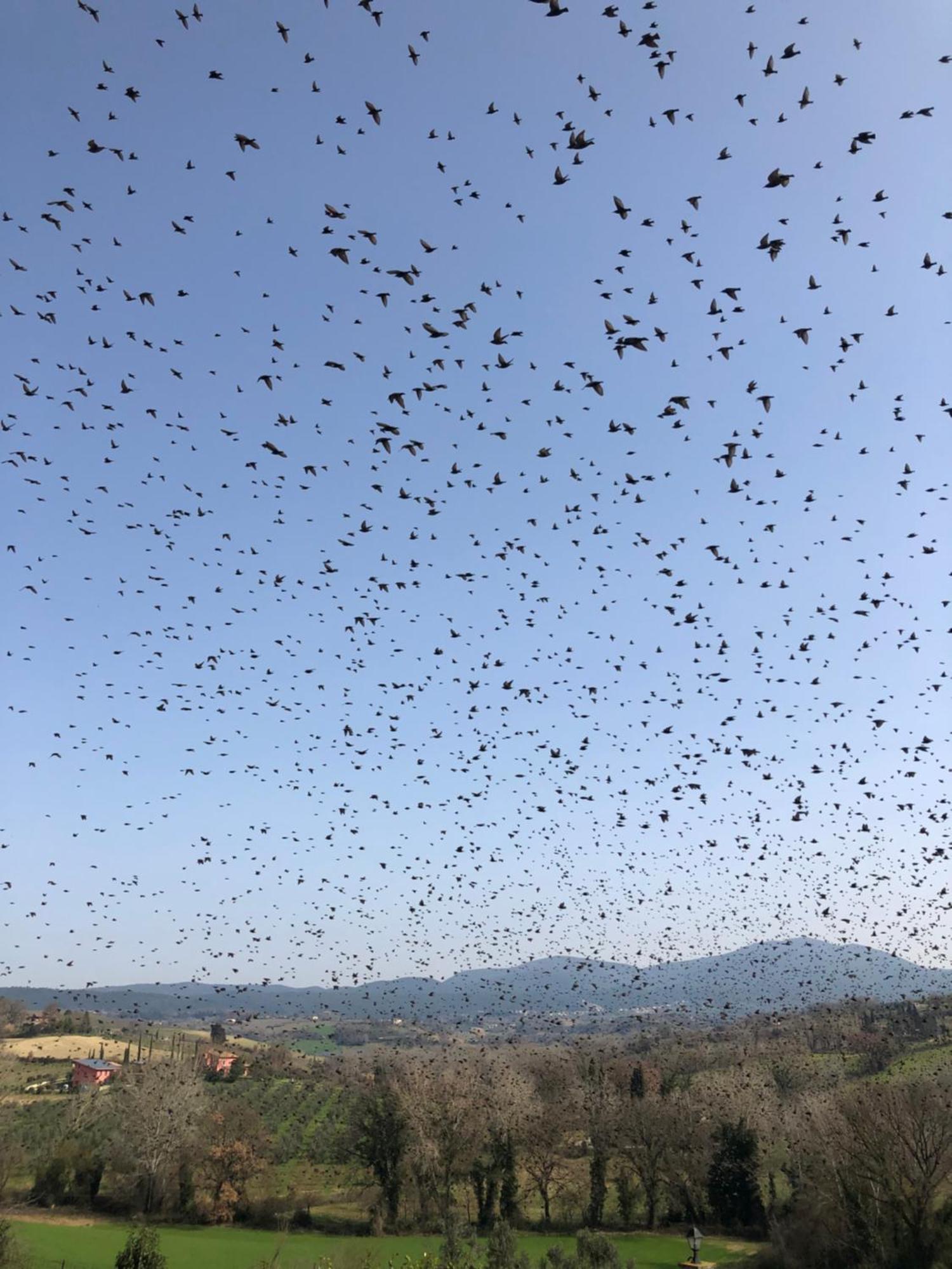 Holiday home Il Poggio