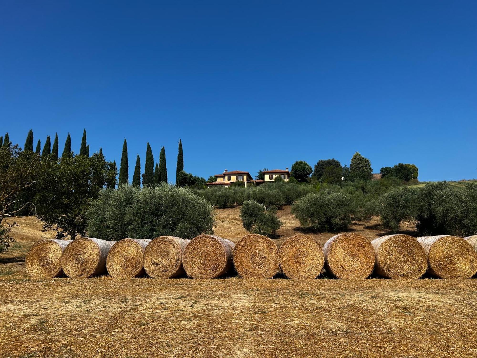 Il Poggio Holiday home *