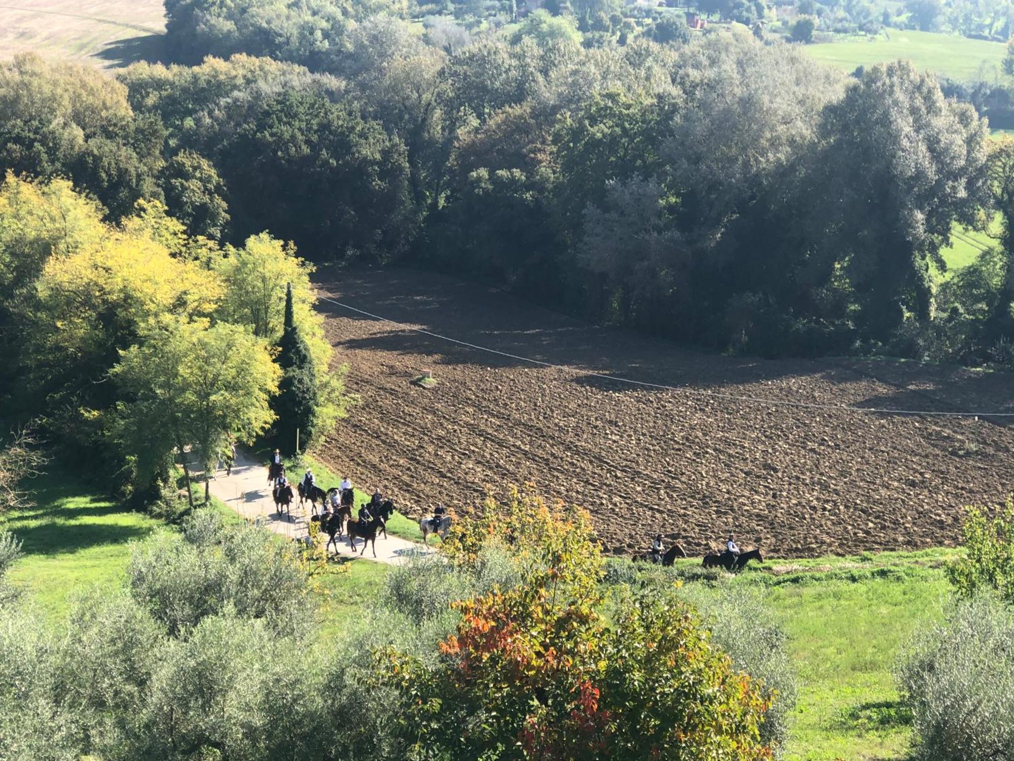 Il Poggio Holiday home *